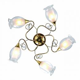 Изображение продукта Потолочная люстра Arte Lamp Mughetto 